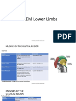 Frcem Lower Limbs