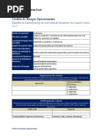 Los Bronces - PUE 9 - CC2 - Inspección Geomecánica Rev3