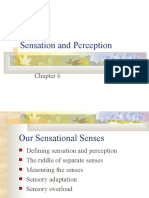 Sensation and Perception