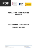 Guía Informativa EMPRESA Convenio Prácticas PDF