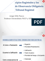 5 Diapositivas-de-la-sesión-del-Dr.-Jorge-Ortiz-Pasco PDF