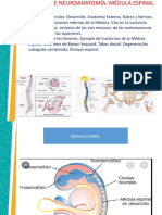 Clase 2 Uam PPT Medula Espinal Aspectos Generales Profesor