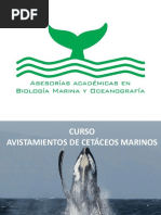 Curso Avistamiento Cetáceos Clase 1 y 2