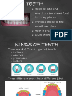 Teeth New PDF