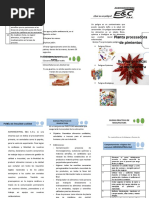 Triptico Buenas Practicas de Manufactiura e Higiene