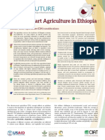 Climate-Smart Agriculture in Ethiopia