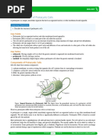 Characteristics - of - Prokaryotic - Cells PDF