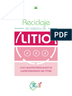 Libro Litio PDF