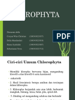 Kelompok 1 - Chlorophyta - PPT