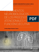 05MANUAL MPulopulos1 PDF