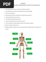 Cuestionario Del Sistema Óseo.