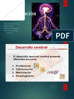 Mielinización PST