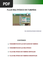 Dia 3 Flujo Multifasico en Tuberias