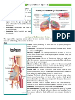 Respi & Cardio