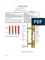 Transport in Plants