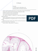 Histology Notes 2