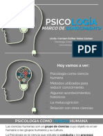 Psicología - Marco de Conocimiento