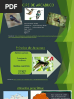 Exposición Príncipe de Arcabuco