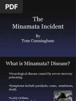 The Minamata Incident: by Tom Cunningham