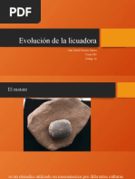 Evolución de La Licuadora