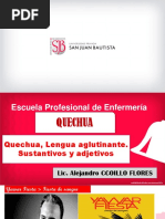 Semana 5 Quechua, Lengua Aglutinante Sustantivos Adjetivos y Numeros