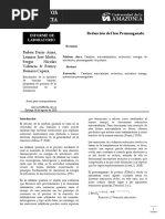 Informe Reducción Permanganato