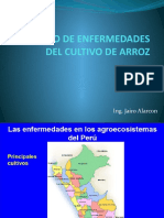 Manejo de Enfermedades Del Cultivo de Arroz