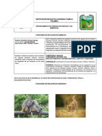 Funciones de Relacion en Animales PDF