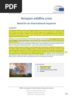 Amazon Wildfire Crisis: Need For An International Response