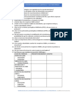 13 Farmacología de La Neurotransmision Gabaérgica y Glutamatérgica