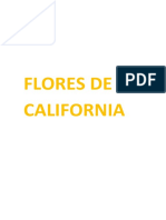 Flores de California