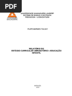 Relatório Do Estágio Curricular Obrigatório I Educação Infantil Filipe Moraes Tolvay