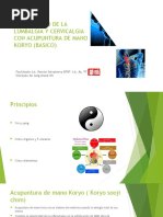 Curso Tratamiento Lumbalgia Cervicalgia