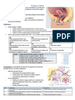 36-Prolapso e Incontinencia Urinaria