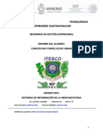 Portafolio Evidencias - Sistemas de Informacion de La Mercadotecnia - Felipe Hiram Concepcion Torres