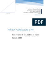 Guia PP II PDF