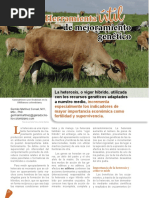 Heterosis Revista de Carne 25092019