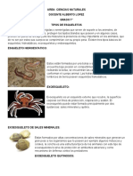 Eu 7° Taller Tipos de Esqueletos 4 Julio