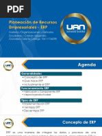 Planeacion de Recursos Empresariales