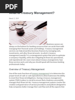 Treasury Management