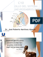 Clase 10 Desarrollo Del Sistema Nervioso (Neuroembriología)