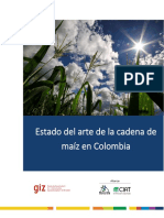 CIAT EA - Maiz - Borrador Final PDF