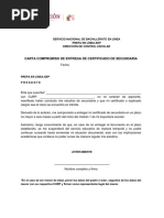 Carta Compromiso 2020