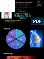 Anatomia de Mama