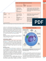 Antifungal Agents: Lipopeptides