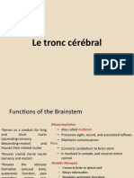 Le Tronc Cerebral