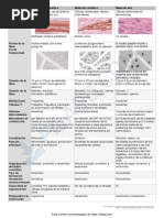 Cuadro Comparativo - Tejido Muscular