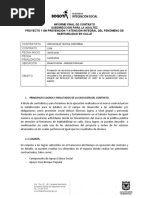 INFORME FINAL Sdis