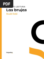 Guia de Lectura Las Brujas