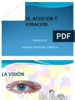 Vision (GERIATRIA)